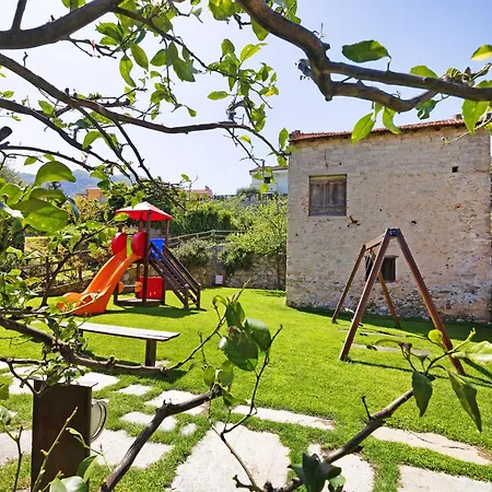 Ciliegio La Ferla * 토이라노